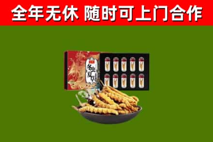 承德县回收冬虫夏草价格